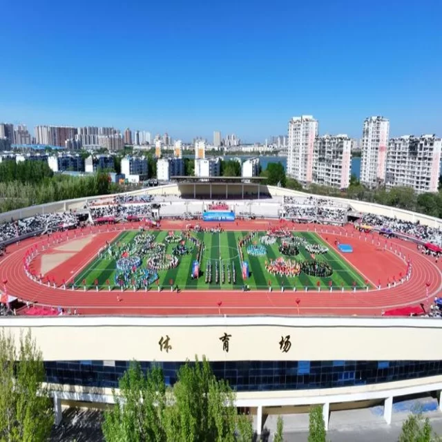 足球杯赛焦点对决:阵容分析第278组