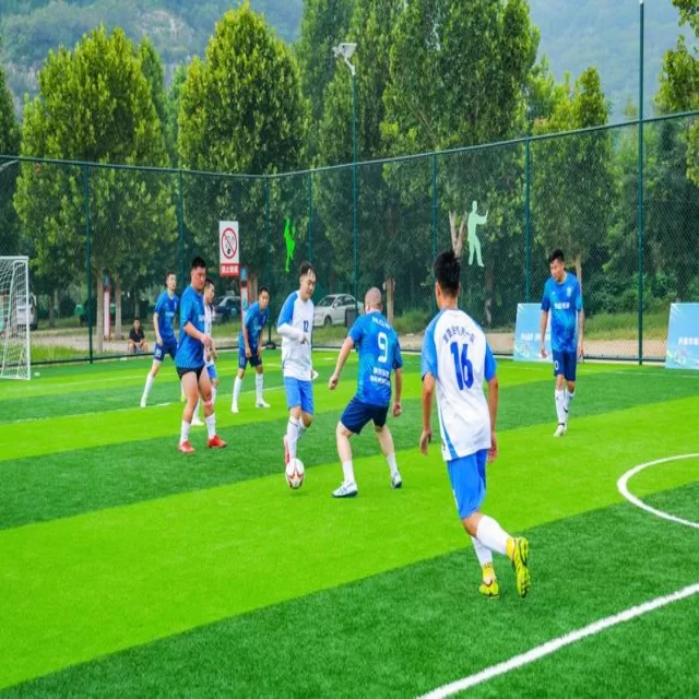 运动场上的焦点人物与战术深度解析