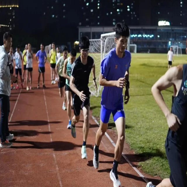 体育资讯热点解读：球迷关注与媒体风向全解析